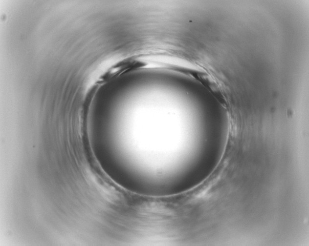X0000088920244200706222001
