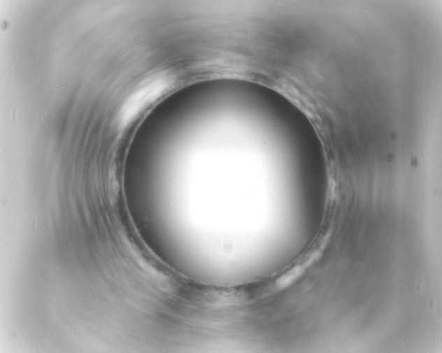 X0000088920245200706222001