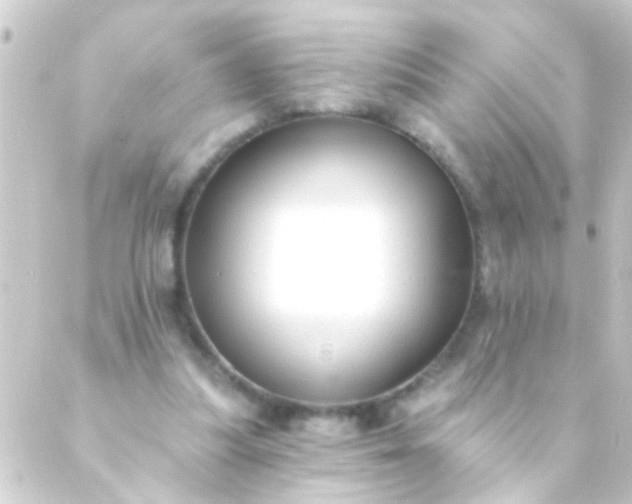 X0000088920251200706222001