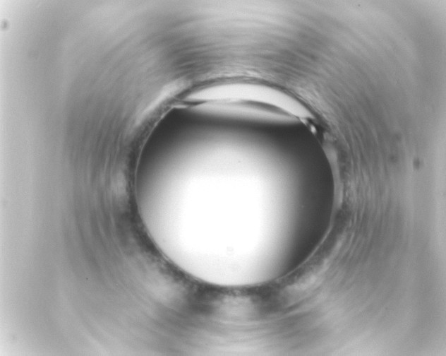 X0000088920256200706222001