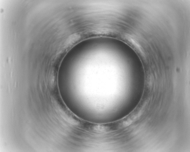 X0000088920261200706222001