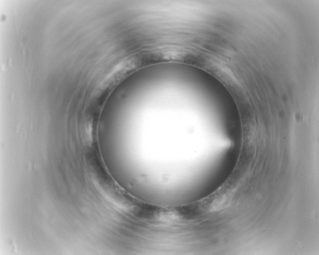 X0000088920262200706222001