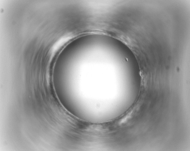 X0000088920294200706222001