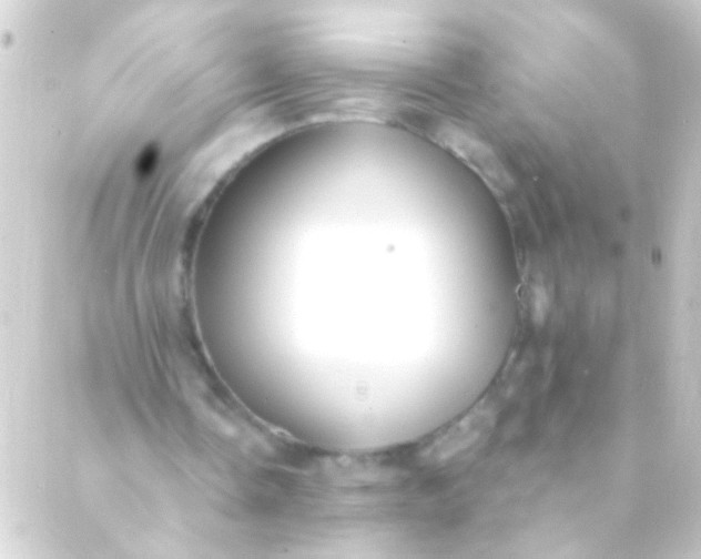 X0000088920338200706222000