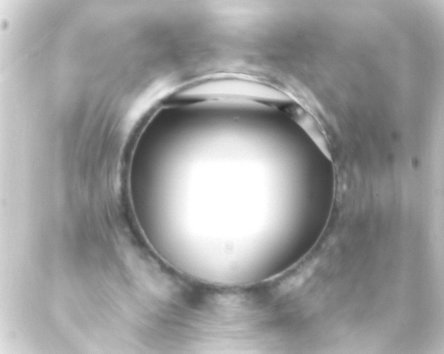 X0000088920344200706222000