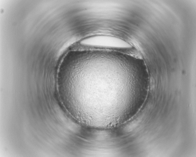 X0000088920349200706222000