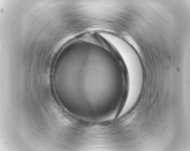 X0000088920387200706222000