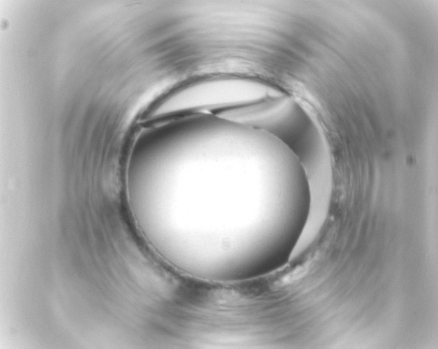 X0000088920392200706221959