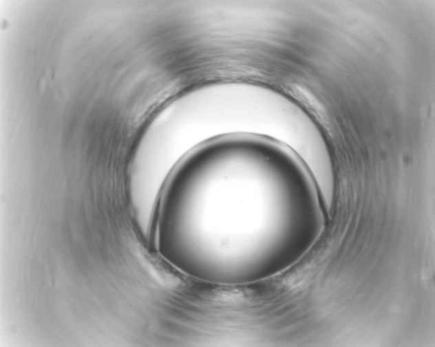 X0000088920405200706221959