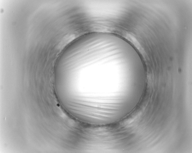 X0000088920433200706221958