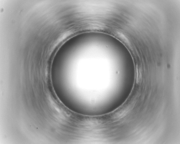 X0000088920435200706221958