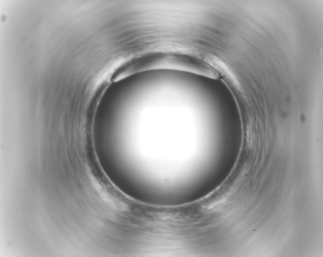 X0000088920436200706221958