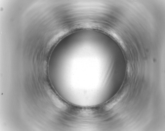 X0000088920445200706221958