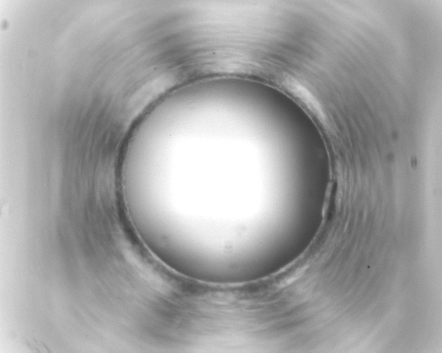 X0000088920482200706221958