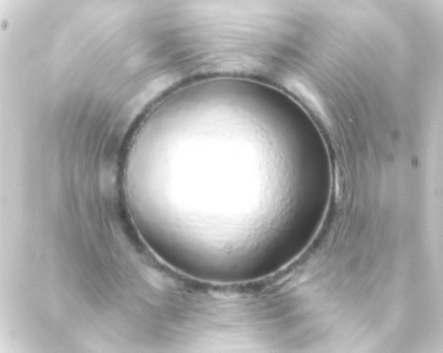 X0000088920483200706221958