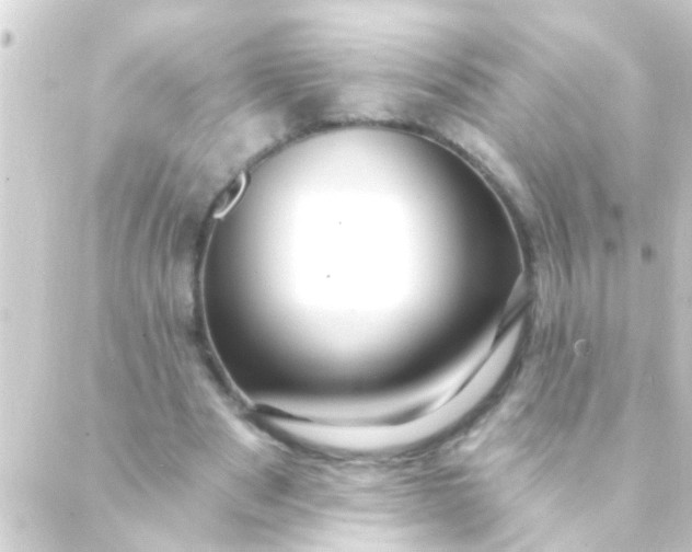 X0000088920489200706221958