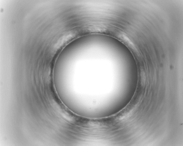 X0000088920490200706221958