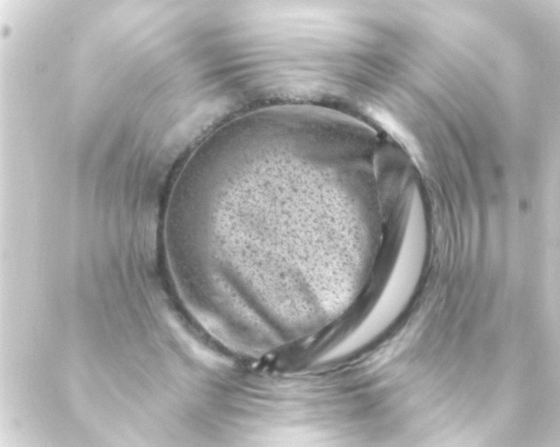 X0000088920493200706221958