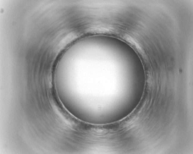 X0000088920582200706221956