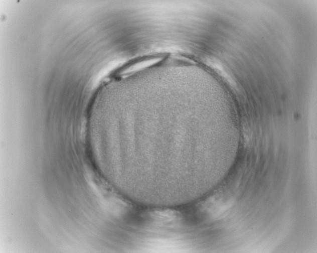 X0000088920583200706221956
