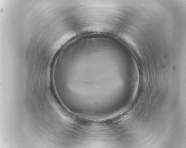 X0000088920678200706221955