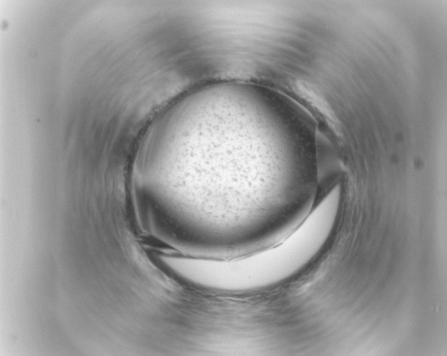 X0000088920681200706221955