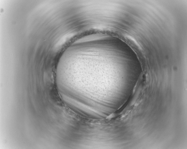 X0000088920776200706221953