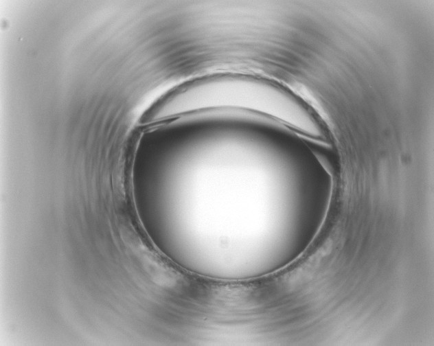X0000088920830200706221952