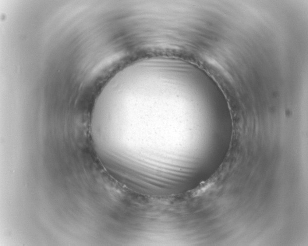 X0000088920870200706221952