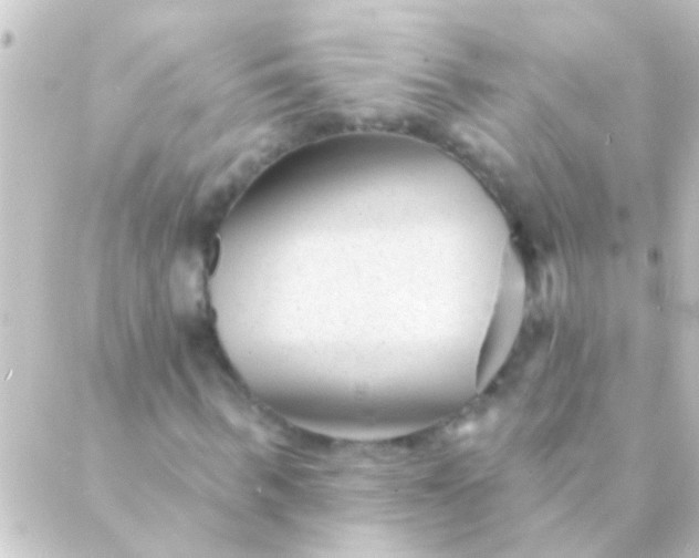 X0000088920963200706221950