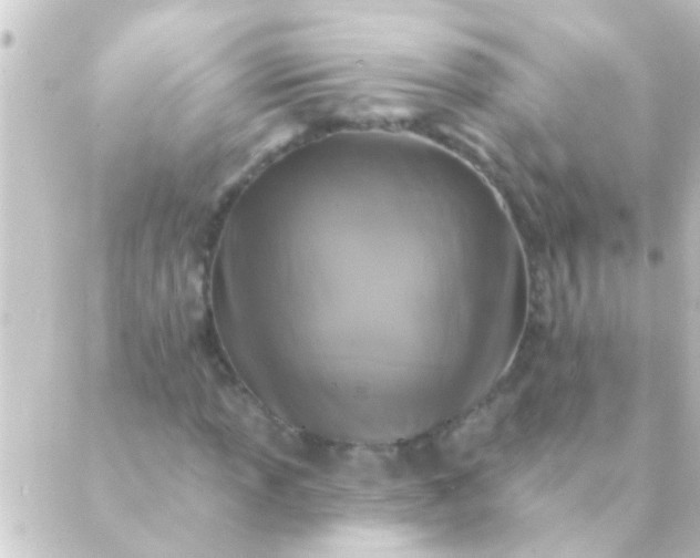 X0000088921013200706221949