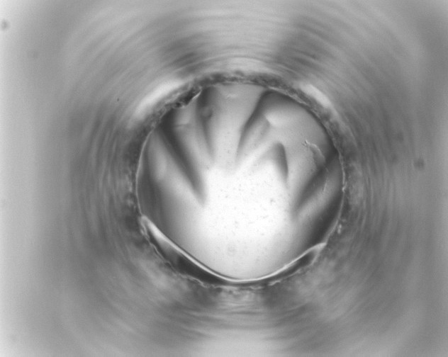 X0000088921112200706221947