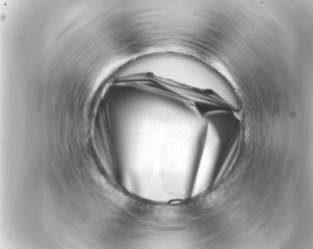 X0000088921116200706221947