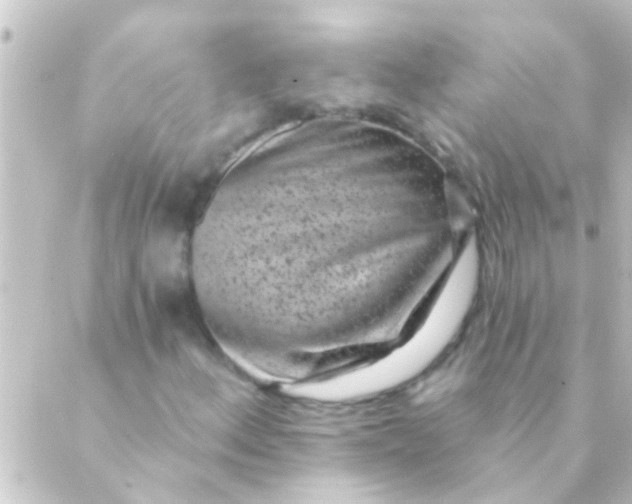 X0000088921156200706221947