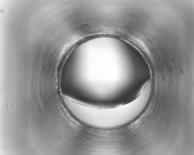 X0000088921172200706221947