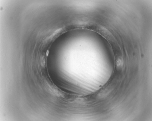 X0000088921204200706221946