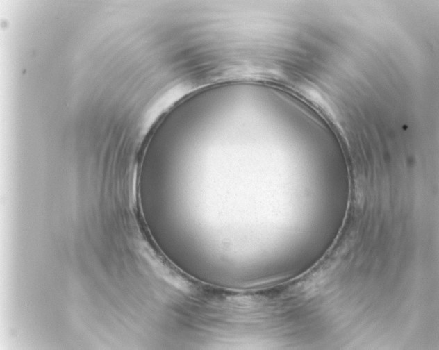 X0000088921227200706221946