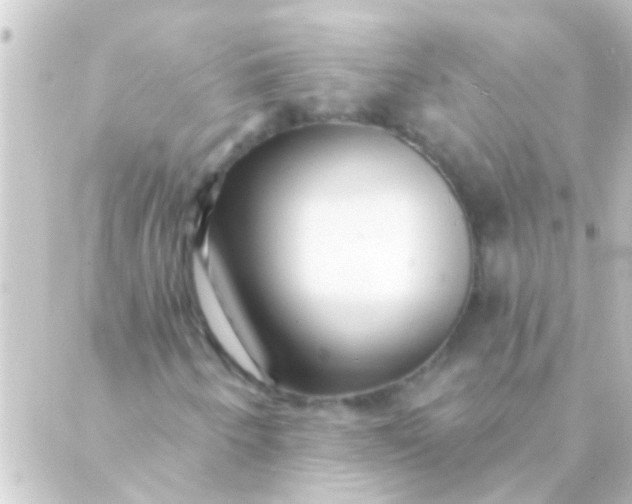 X0000088921250200706221946