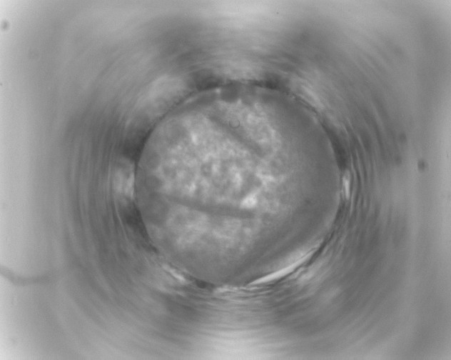 X0000088921251200706221946