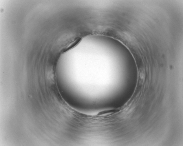 X0000088921252200706221946