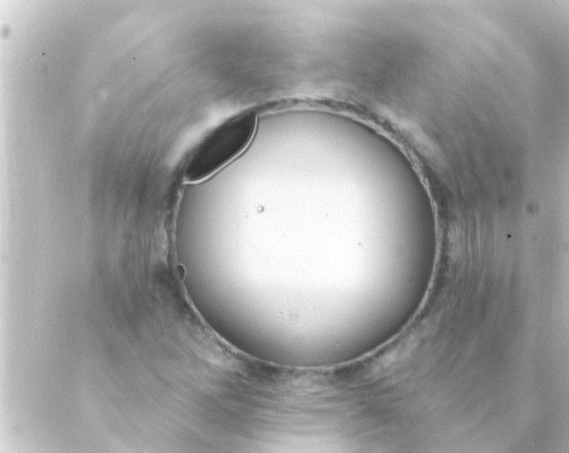 X0000088921262200706221945