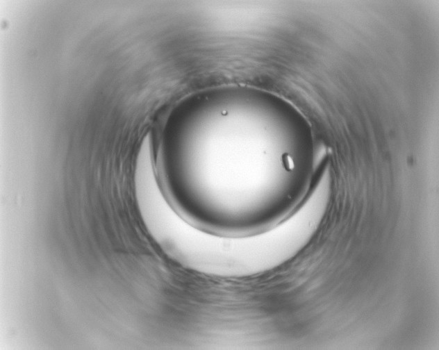 X0000088921298200706221944