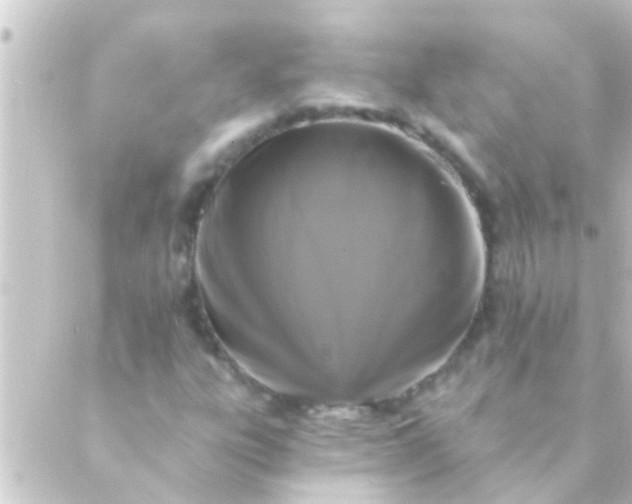 X0000088921303200706221944