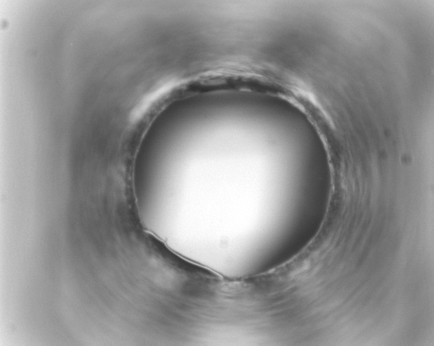 X0000088921304200706221944