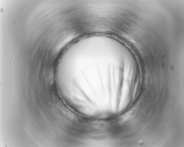 X0000088921306200706221944