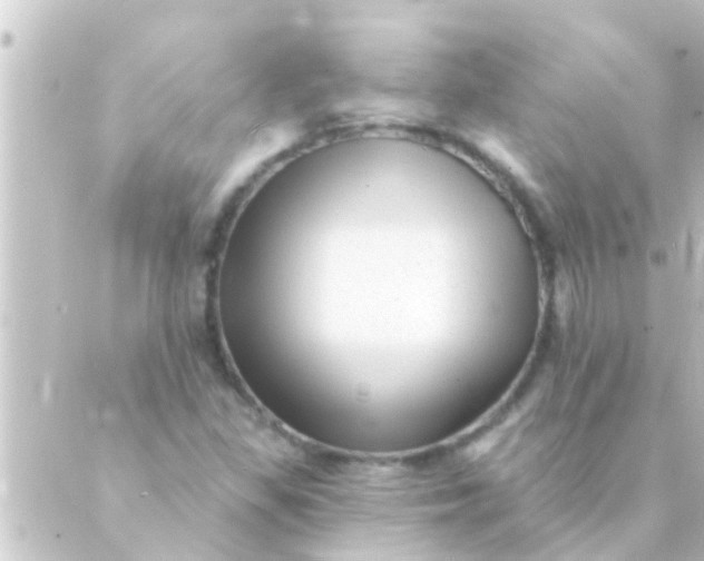 X0000088921309200706221944