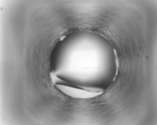 X0000088921345200706221944