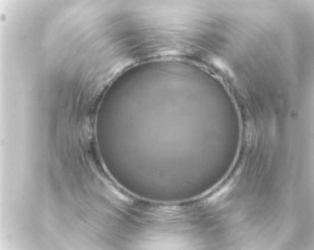 X0000088921353200706221944