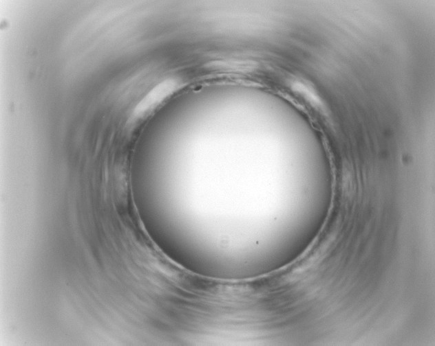 X0000088921354200706221944