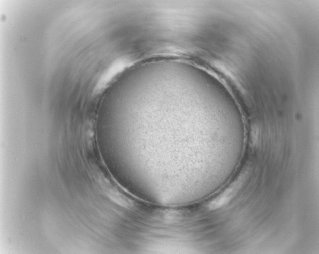 X0000088921355200706221944